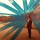 Jon Handel Photography / PICK A VERB / 1201